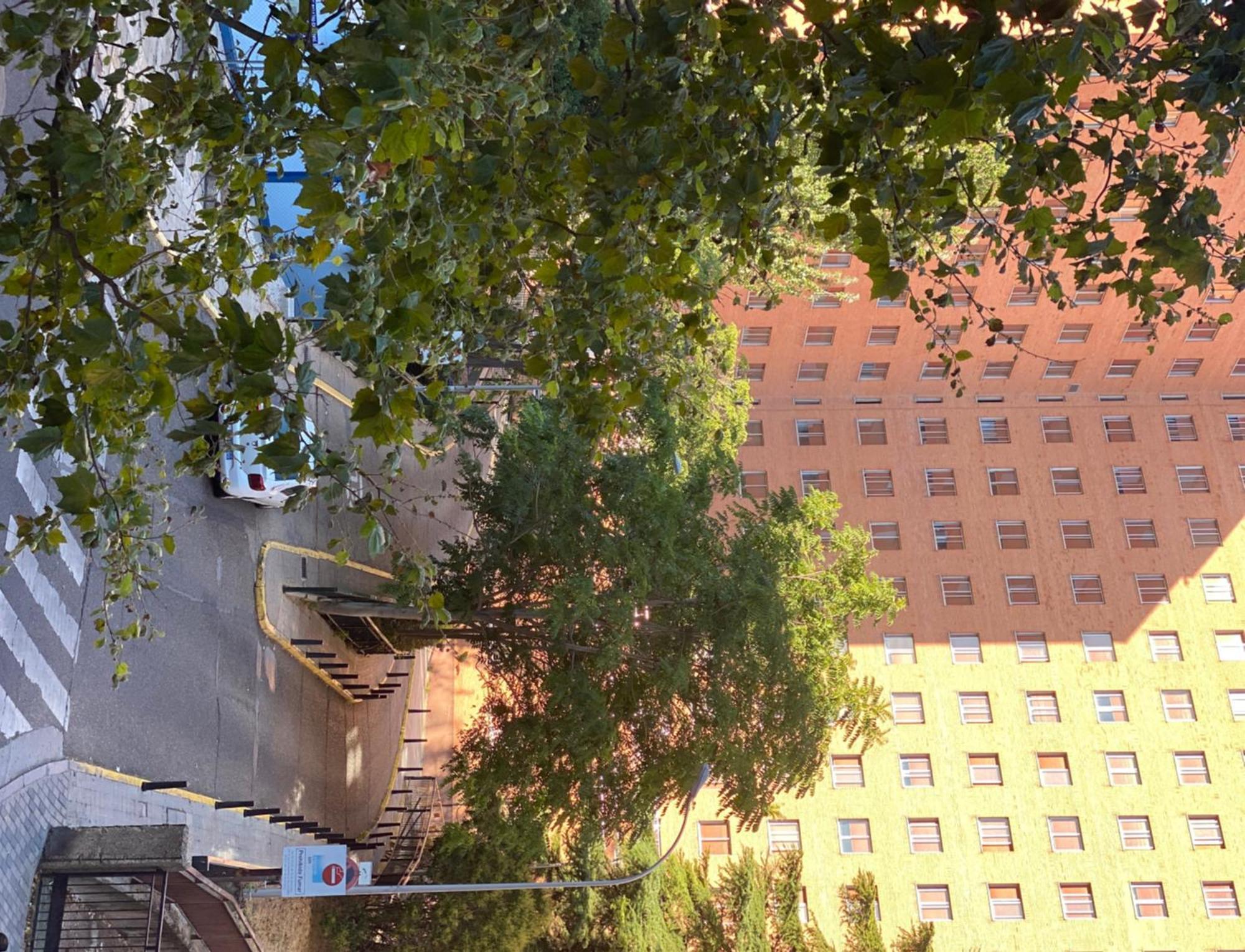 Hostal Monaco Valladolid Zewnętrze zdjęcie